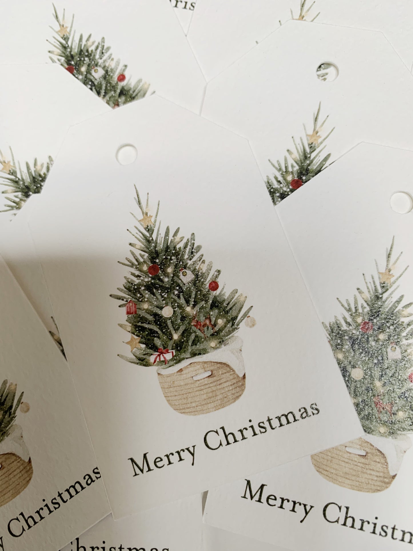 Christmas Tree Gift Tags - Pack of 12