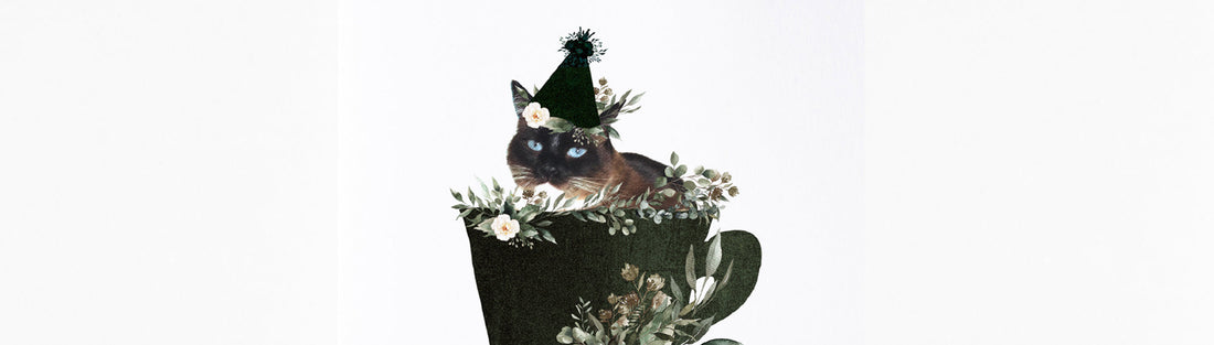 Cute Cat Pun Messages