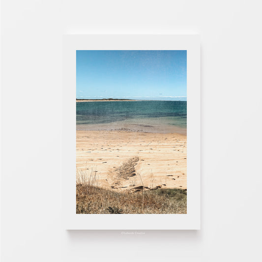 Coastal Summer Print