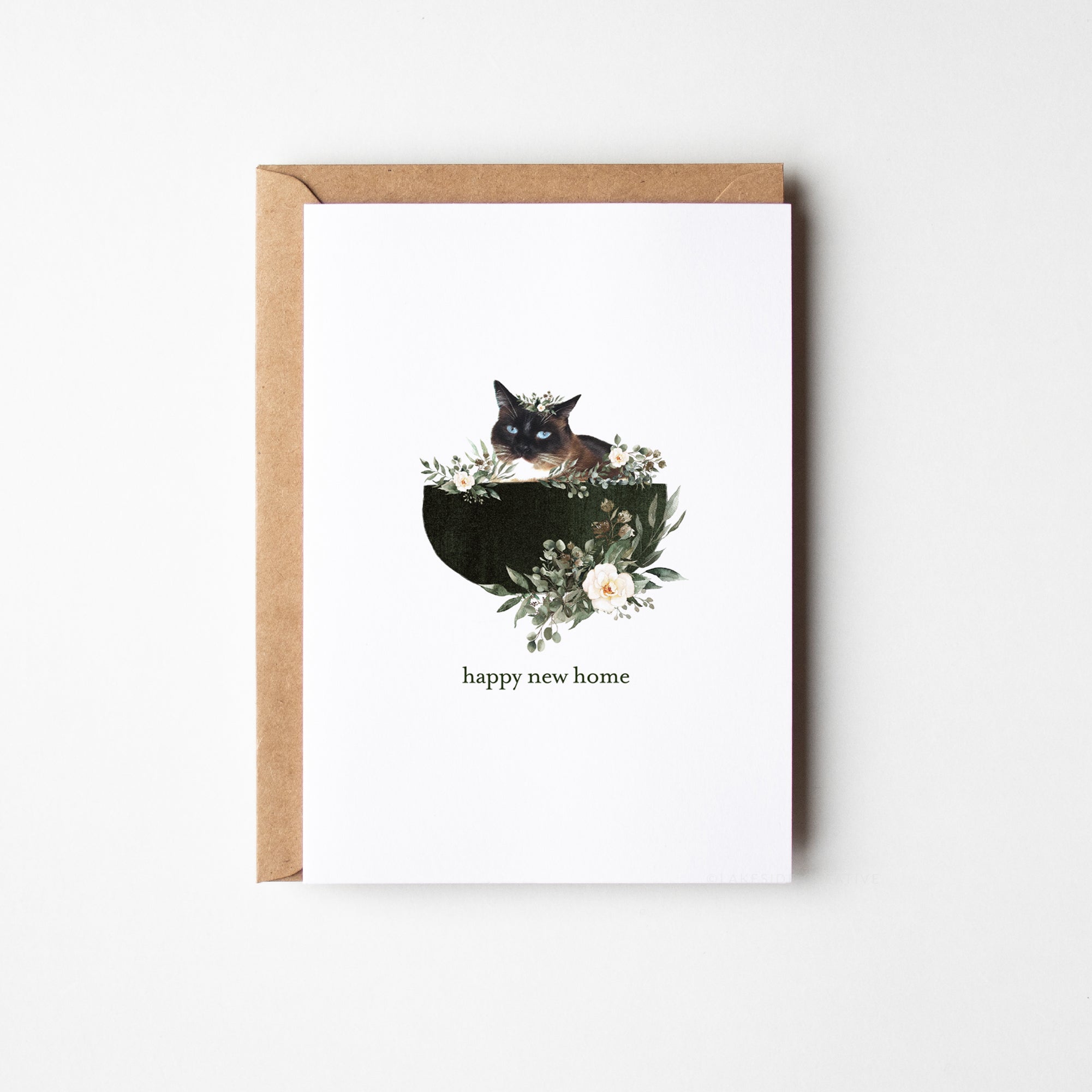 wholesale cat cards, cat cards Australia, wholesale greeting cards, cat cards, pet cards, new home, cat new home card
