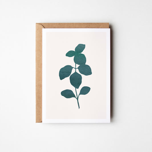 Basil Plant Greeting Card. Green.