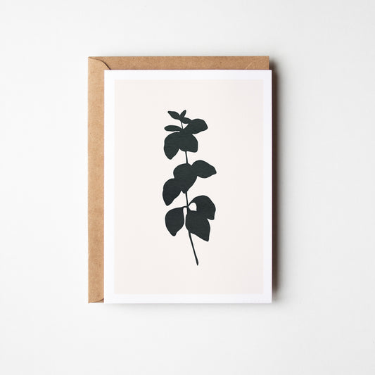 Oregano Herbs Greeting Card. Black.