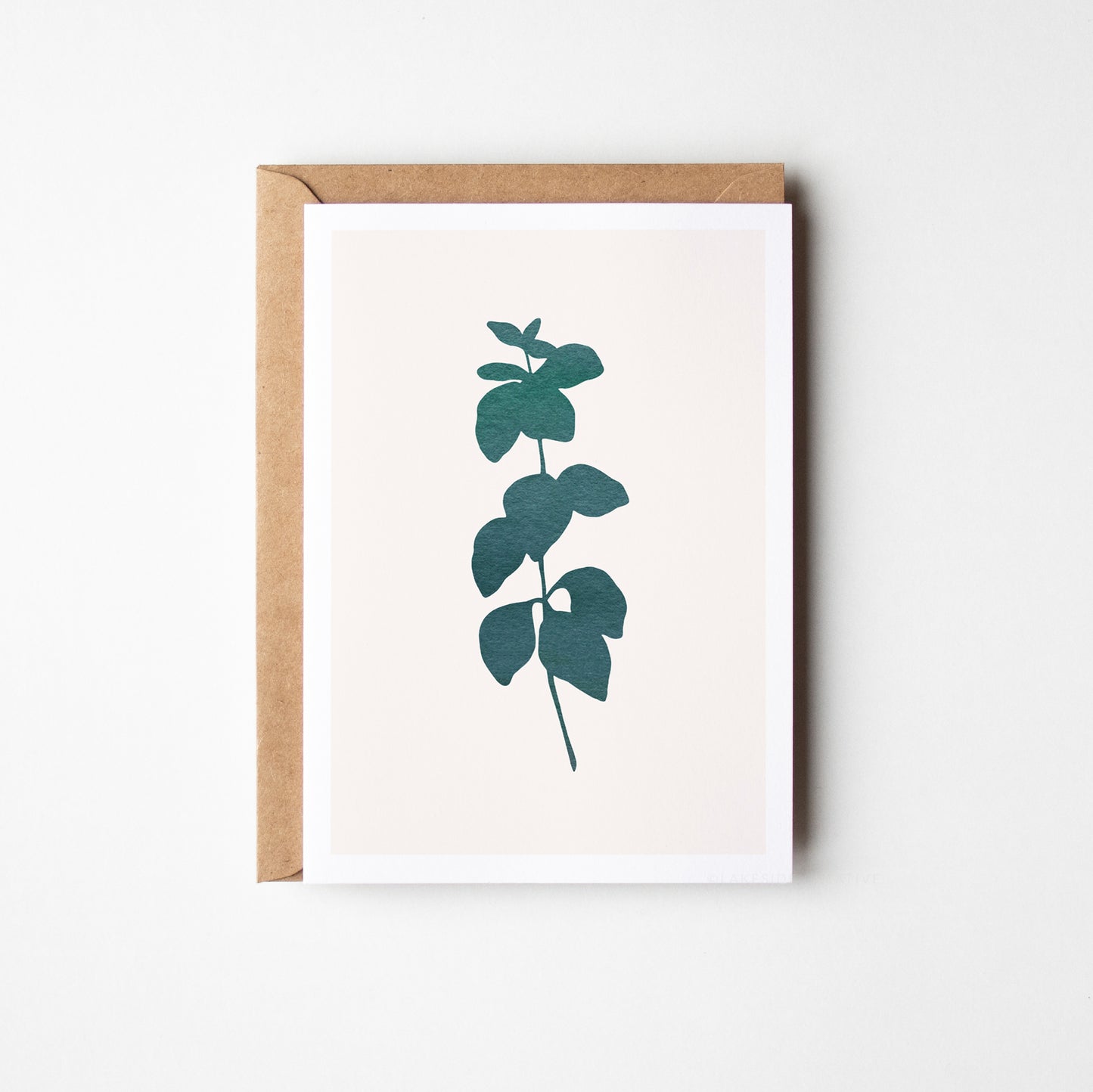 Oregano Herbs Greeting Card. Green.