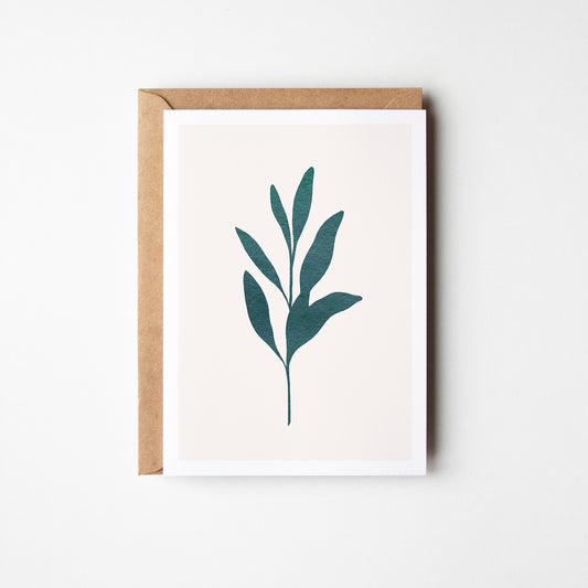 Sage Herb Greeting Card. Green.