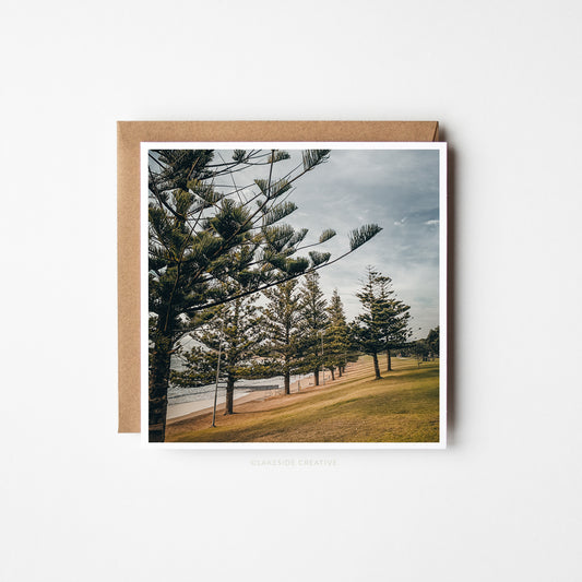 Torquay Pine Trees Card | Front Beach Photography | Surf Coast, Victoria, Australia